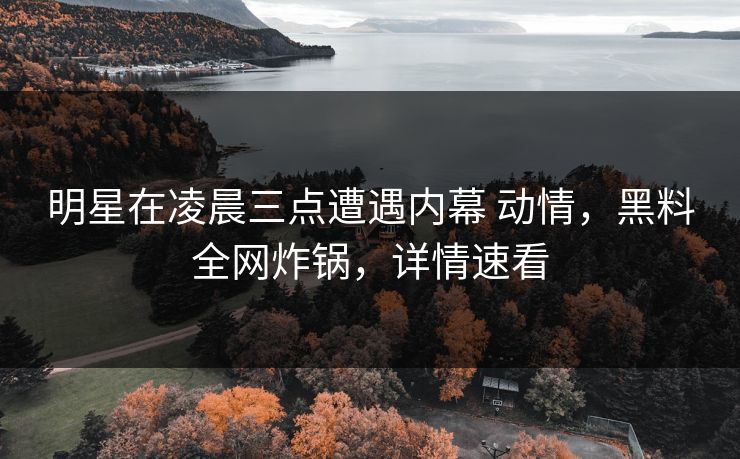 明星在凌晨三点遭遇内幕 动情，黑料全网炸锅，详情速看