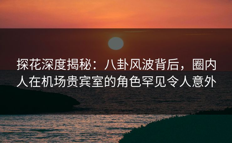 探花深度揭秘：八卦风波背后，圈内人在机场贵宾室的角色罕见令人意外